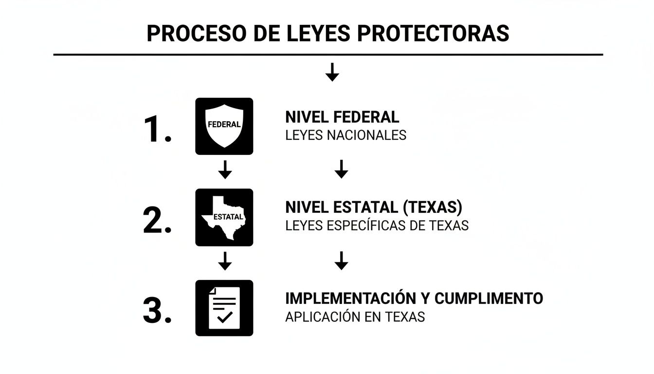 Diagrama de flujo que ilustra el proceso de leyes protectoras: nivel federal, estatal (Texas) e implementación.